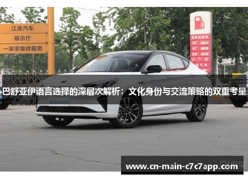 巴舒亚伊语言选择的深层次解析：文化身份与交流策略的双重考量