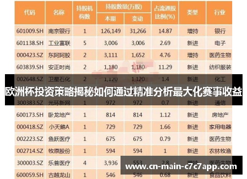欧洲杯投资策略揭秘如何通过精准分析最大化赛事收益 欧洲杯投资策略揭秘如何通过精准分析最大化赛事收益