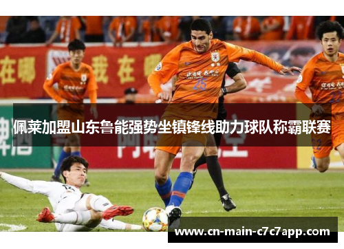 佩莱加盟山东鲁能强势坐镇锋线助力球队称霸联赛 佩莱加盟山东鲁能强势坐镇锋线助力球队称霸联赛