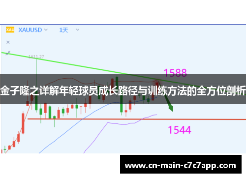 金子隆之详解年轻球员成长路径与训练方法的全方位剖析