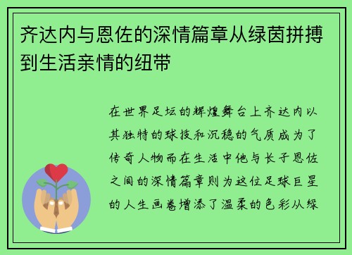齐达内与恩佐的深情篇章从绿茵拼搏到生活亲情的纽带