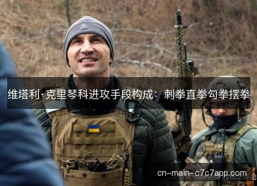 维塔利·克里琴科进攻手段构成：刺拳直拳勾拳摆拳